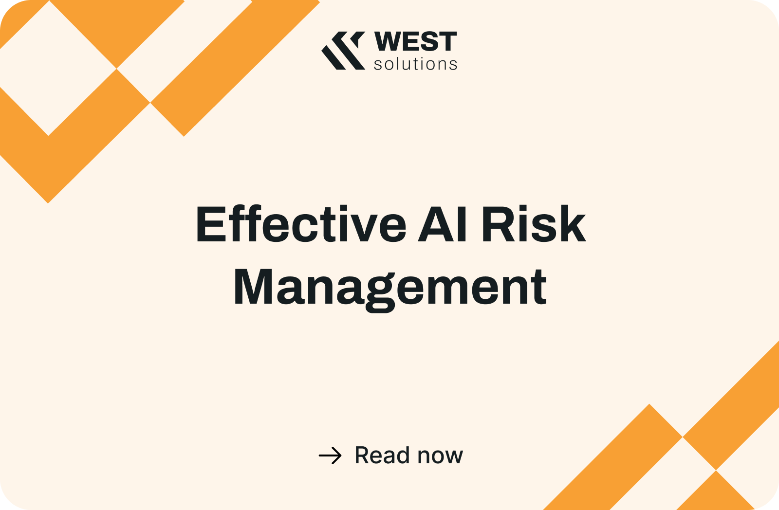 Effective AI Risk Management