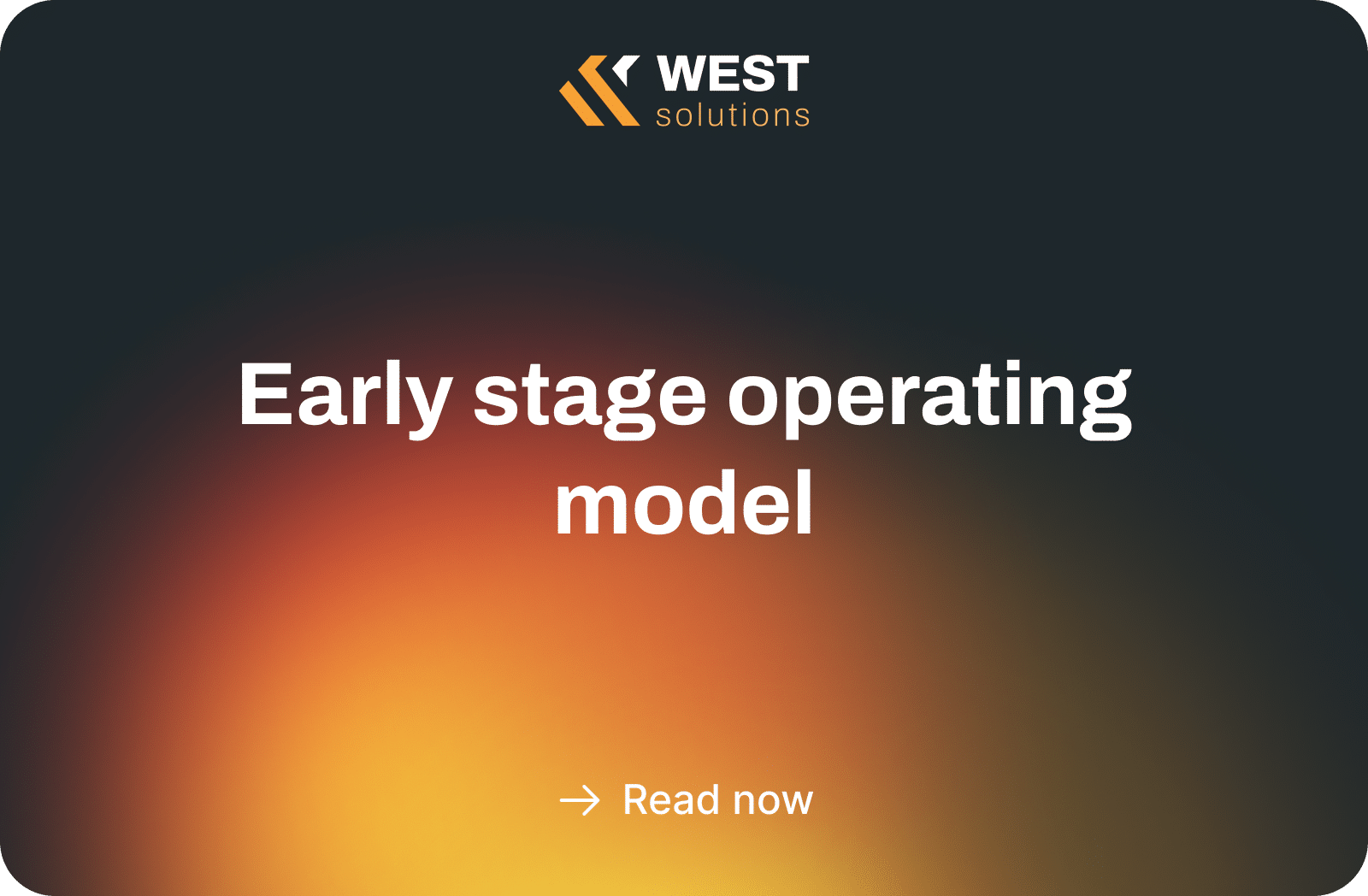 early stage operating model